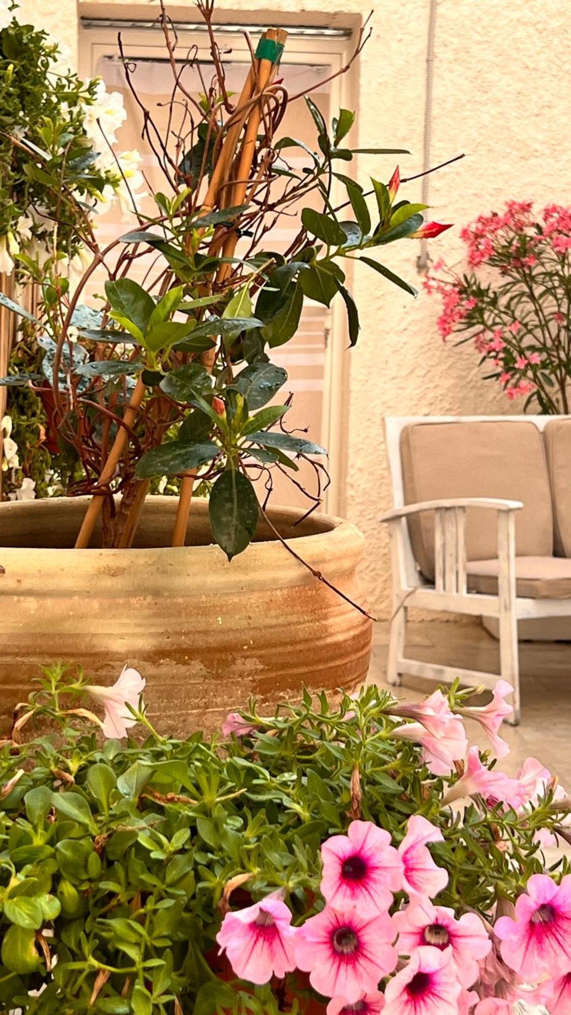 Dimora Donna Vitalia Apartments Trapani Esterno foto